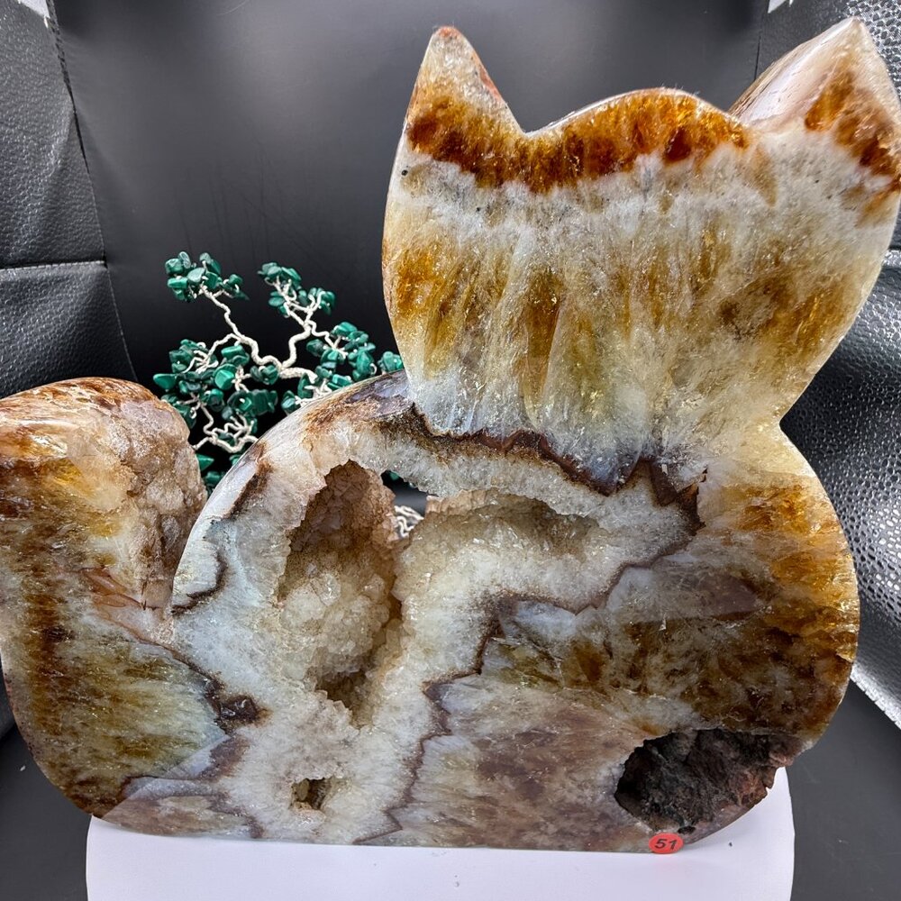 Citrine Cat Carving Extra Large Heat Treated Amethyst Quartz Crystal Animal 51 - Picture 4 of 16